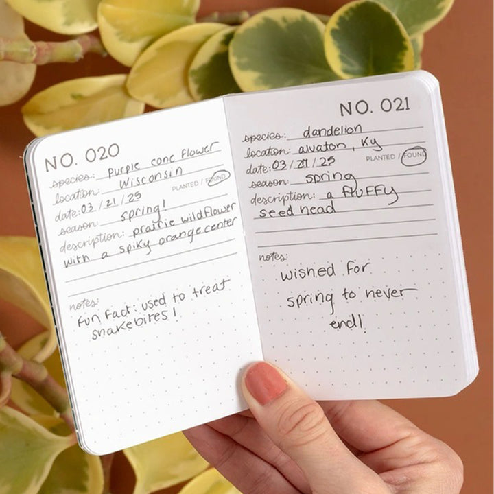 Plants Journal #508718