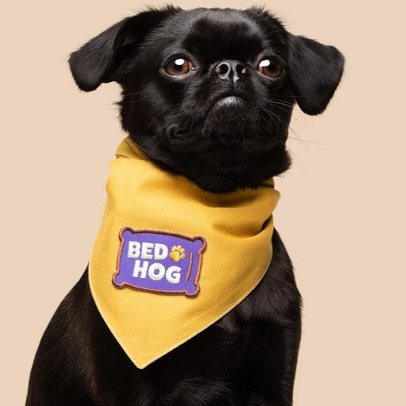 Bed Hog Pet Patch