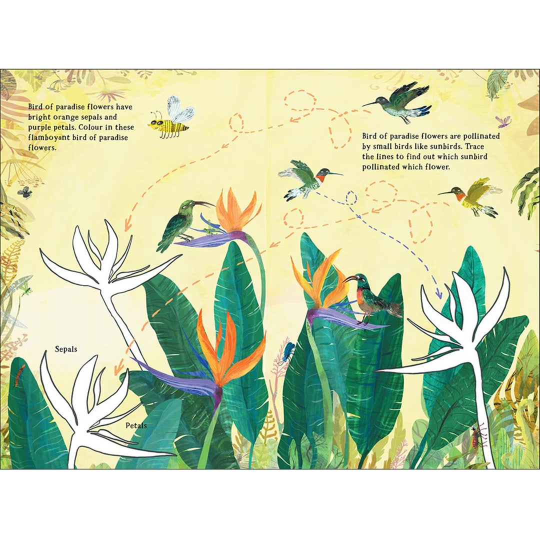 The Big Sticker Book of Blooms