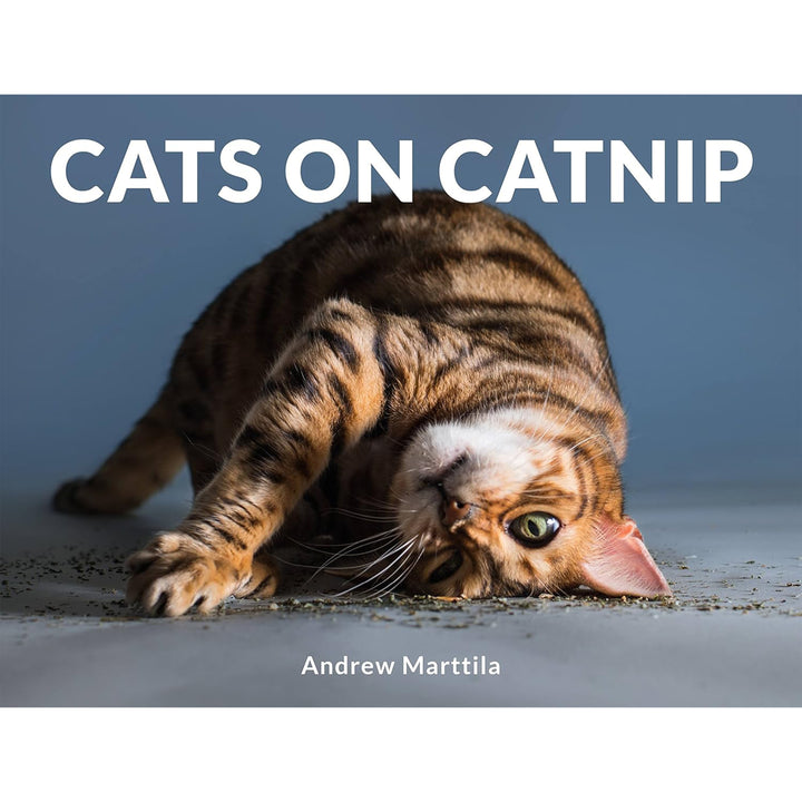 Cats on Catnip