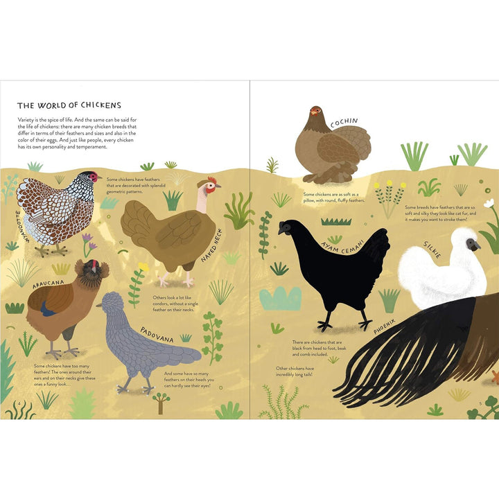 Chickenology