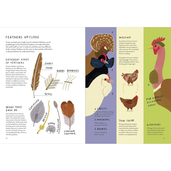 Chickenology