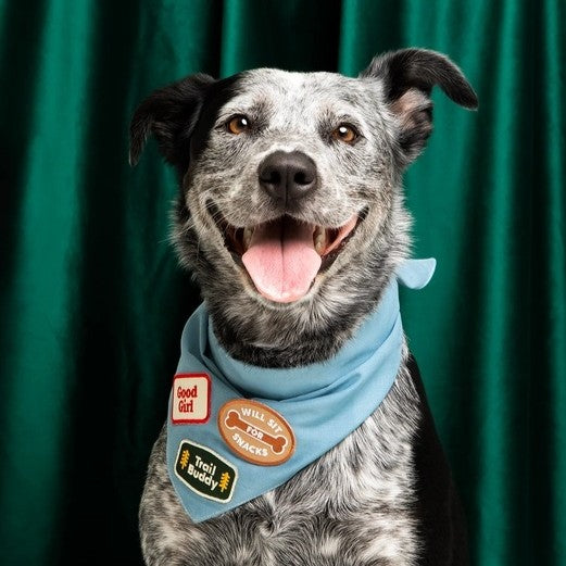 Good Girl Pet Patch