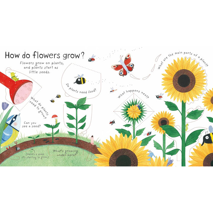 How Do Flowers Grow?