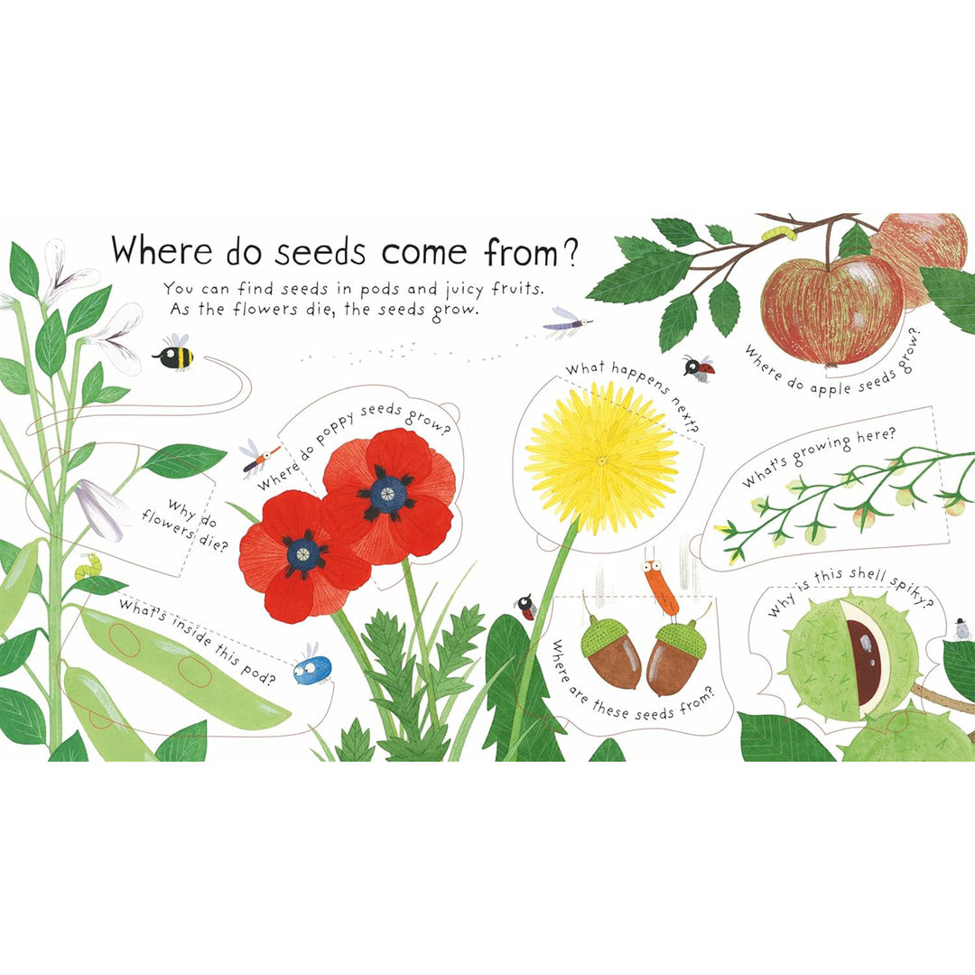 How Do Flowers Grow?