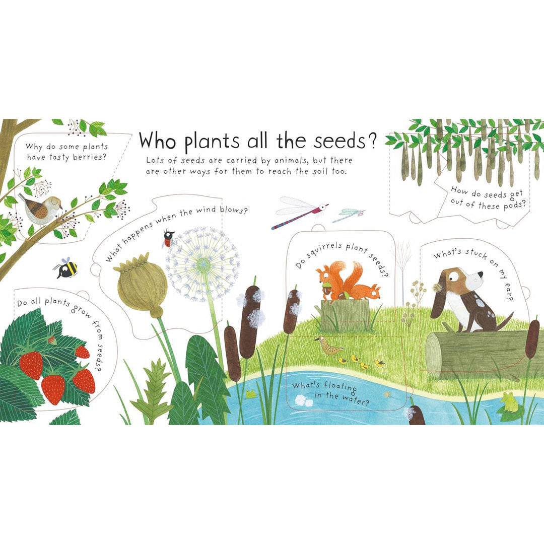 How Do Flowers Grow?