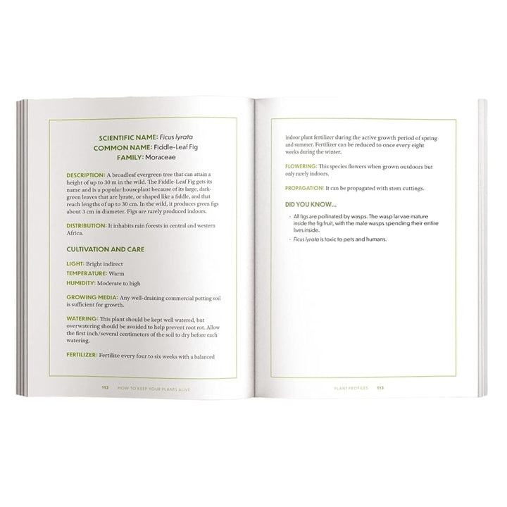 How to Keep Your Plants Alive: 50 Plants That Are Impossible to Kill