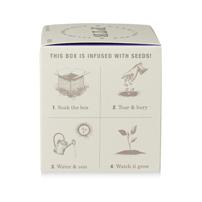 Plant the Box Candle 9oz