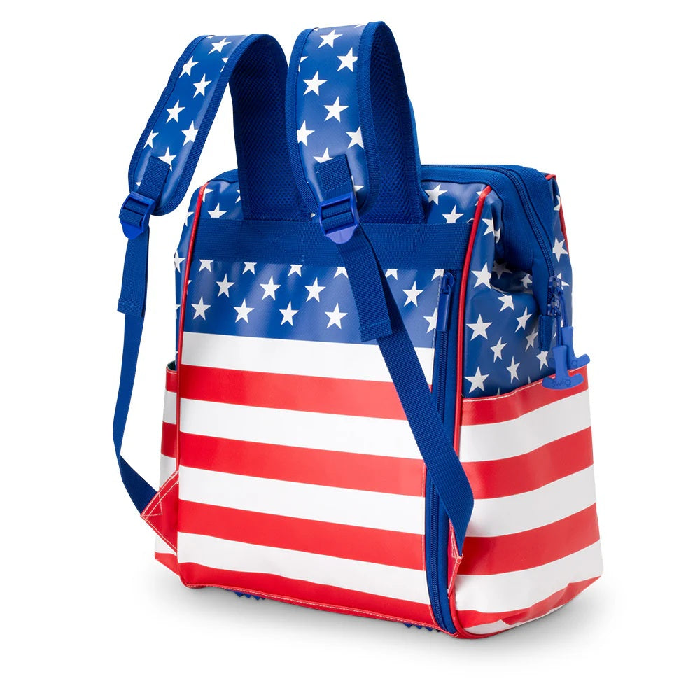 Packi 24 Backpack Cooler