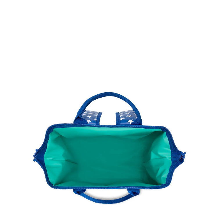 Packi 24 Backpack Cooler