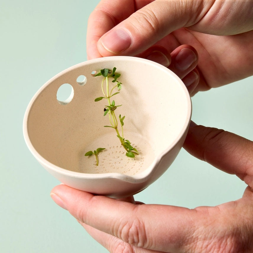 Peel Grate Prep Dish