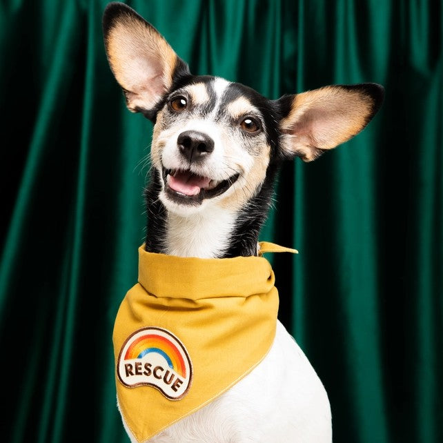 Rescue Pet Patch