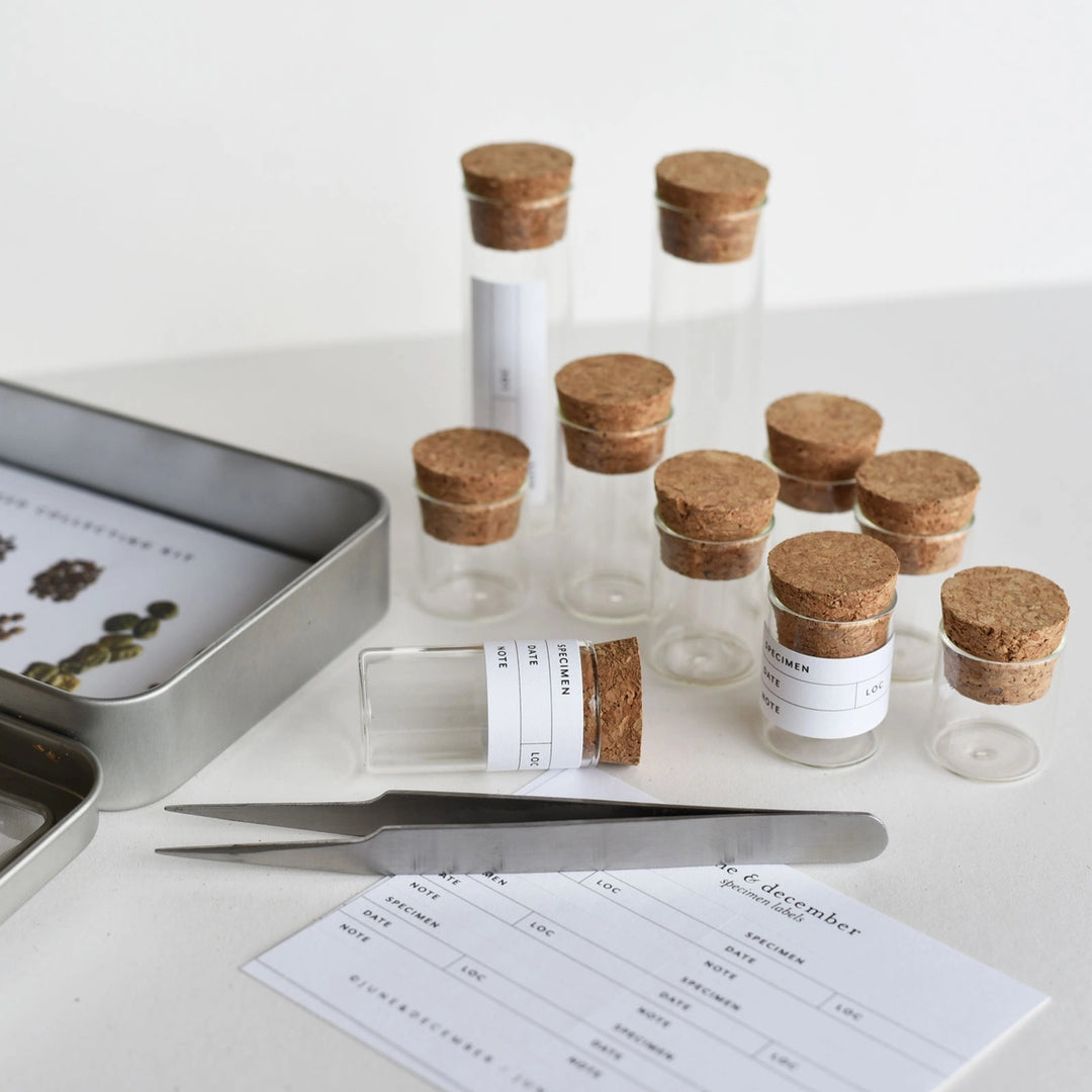 Seed Collecting Kit #SPCL306