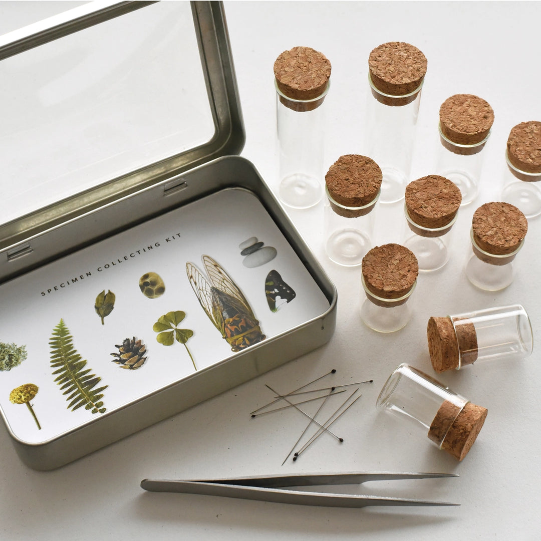 Nature Specimen Collecting Kit #SPCL612