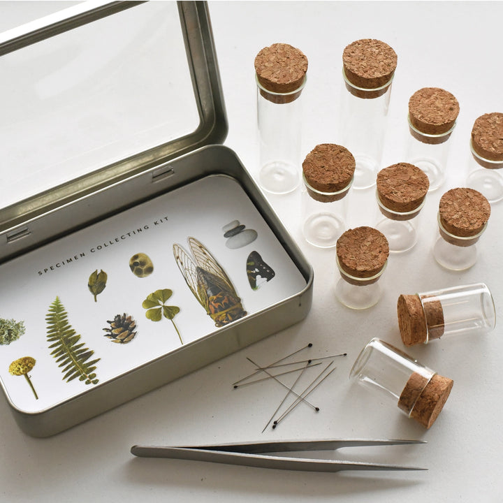 Nature Specimen Collecting Kit #SPCL612