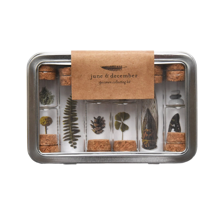 Nature Specimen Collecting Kit #SPCL612