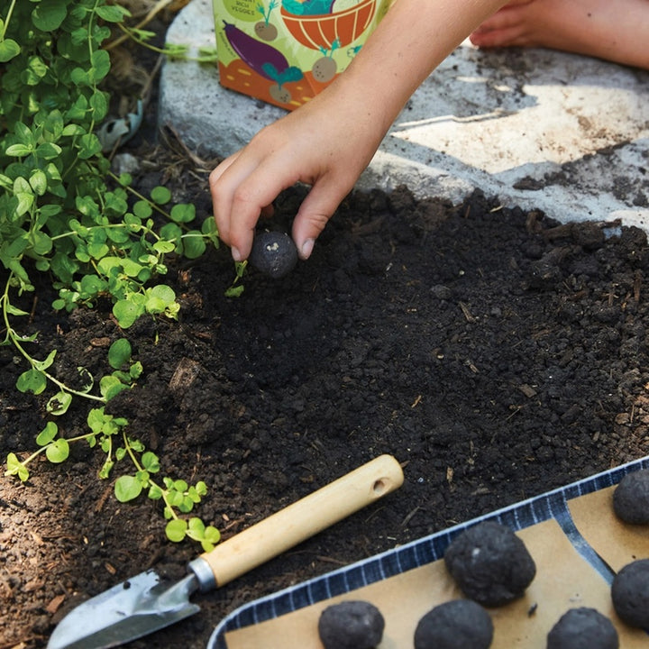 Seed Ball Kit