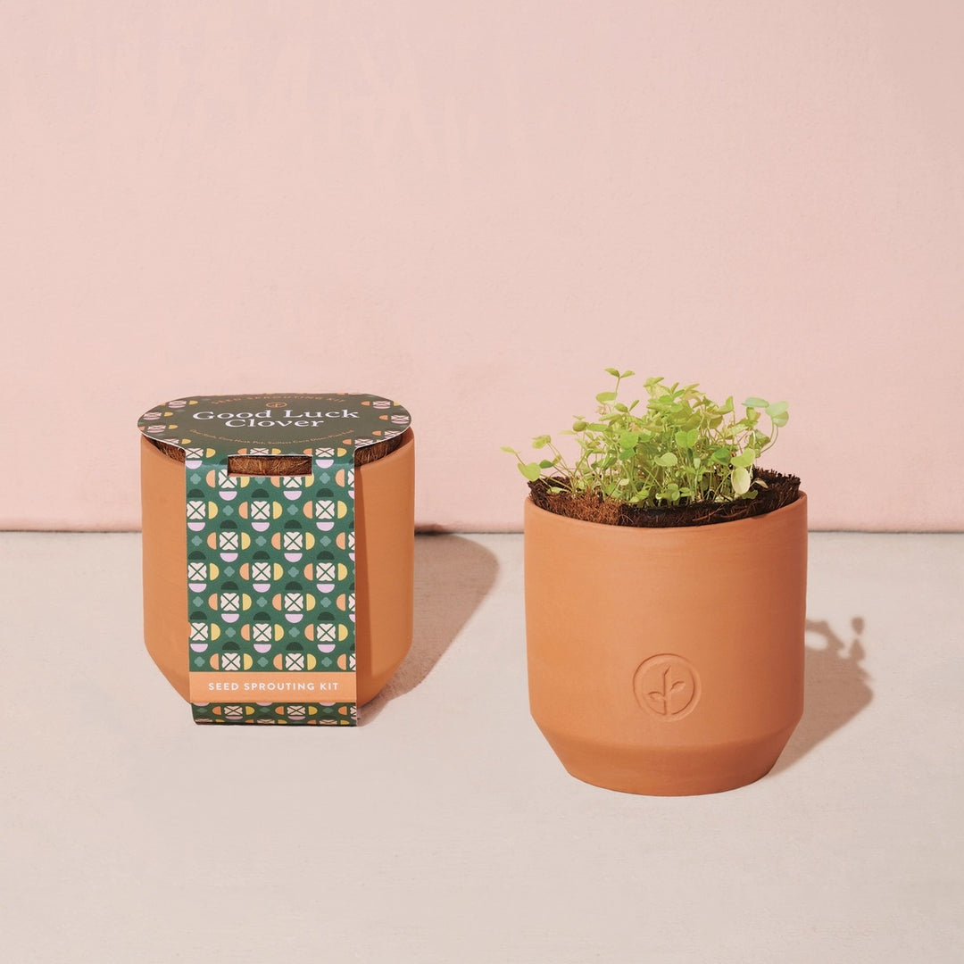 Tiny Terracotta Garden Kit