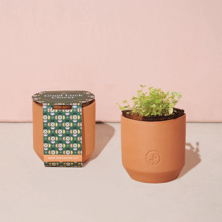 Tiny Terracotta Garden Kit