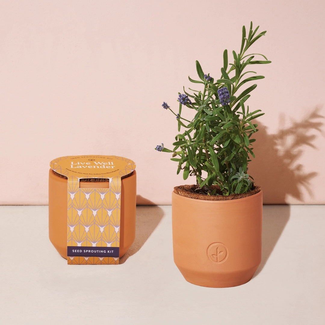 Tiny Terracotta Garden Kit