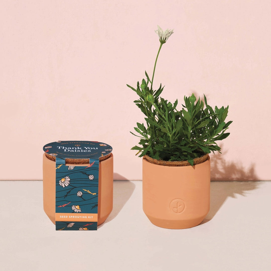 Tiny Terracotta Garden Kit