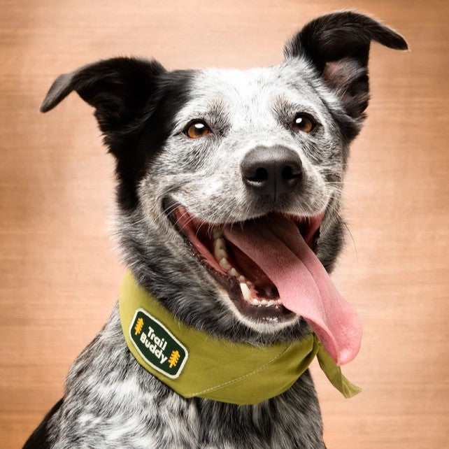 Trail Buddy Pet Patch