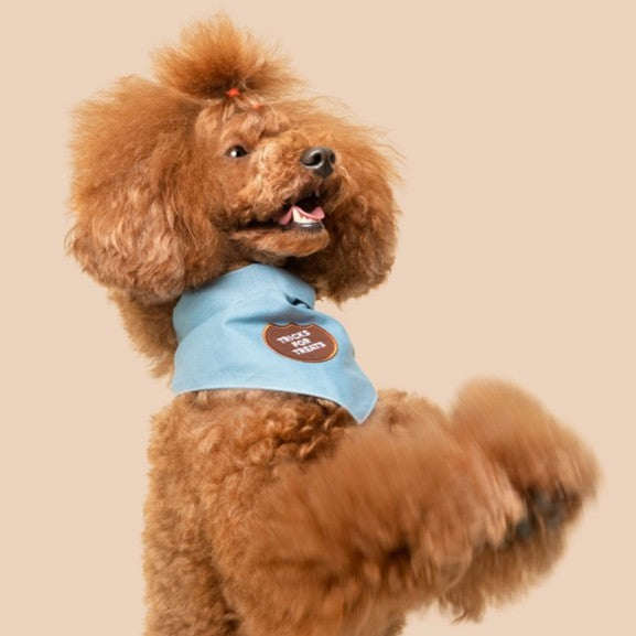 Tricks For Treats Pet Patch