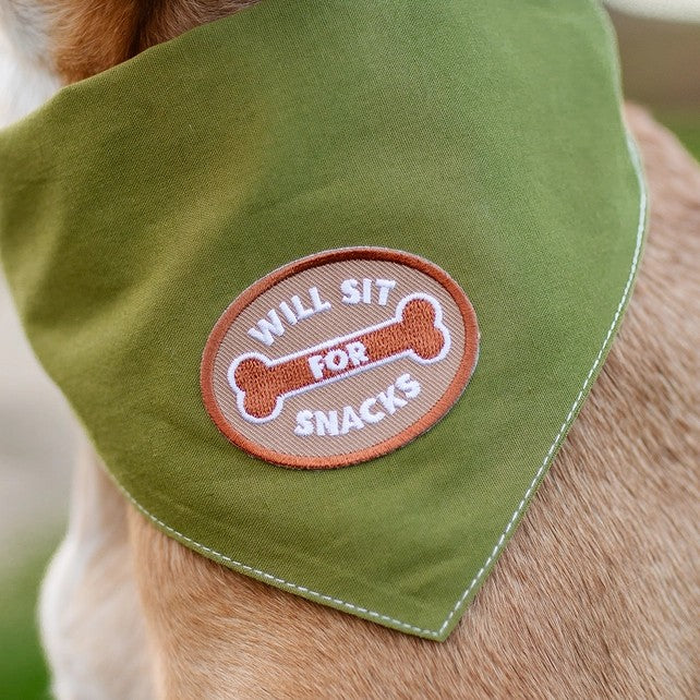 Will Sit For Snacks Pet Patch