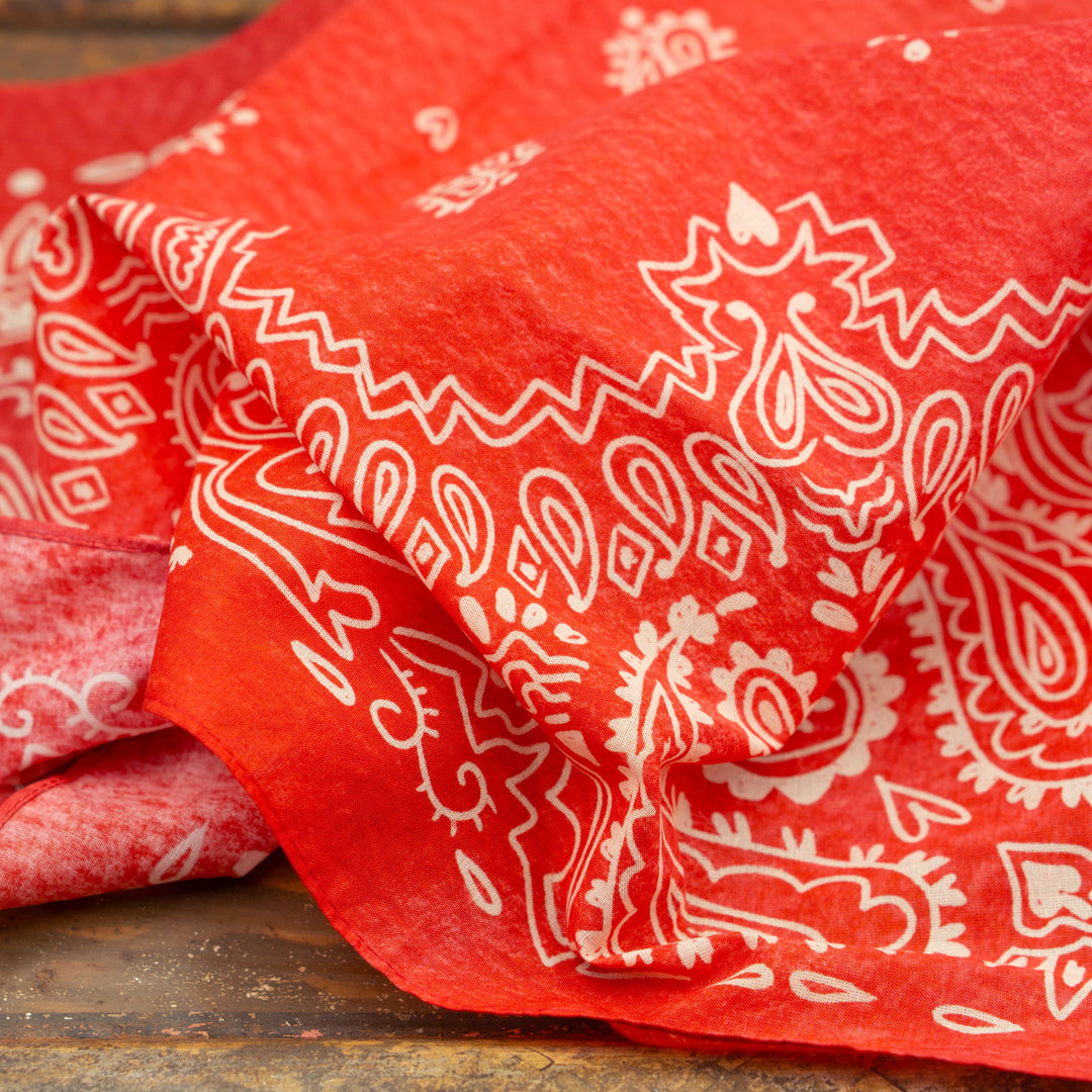 Classic Paisley Bandana #6-4