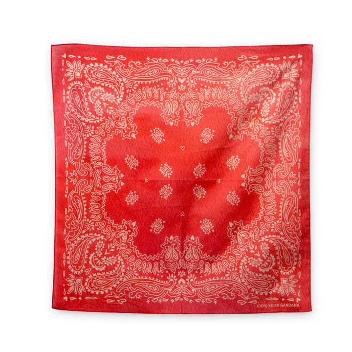 Classic Paisley Bandana #6-4