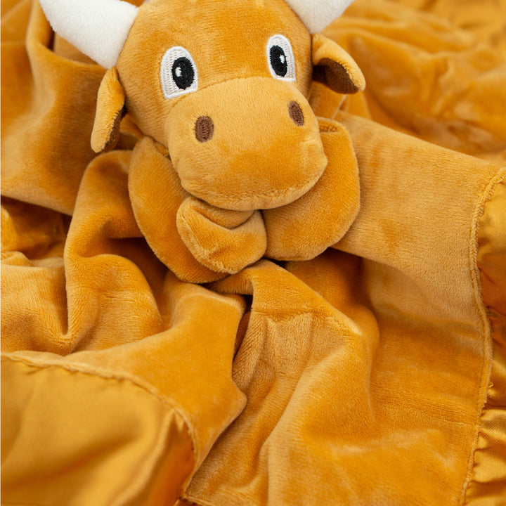 Lovey Blanket