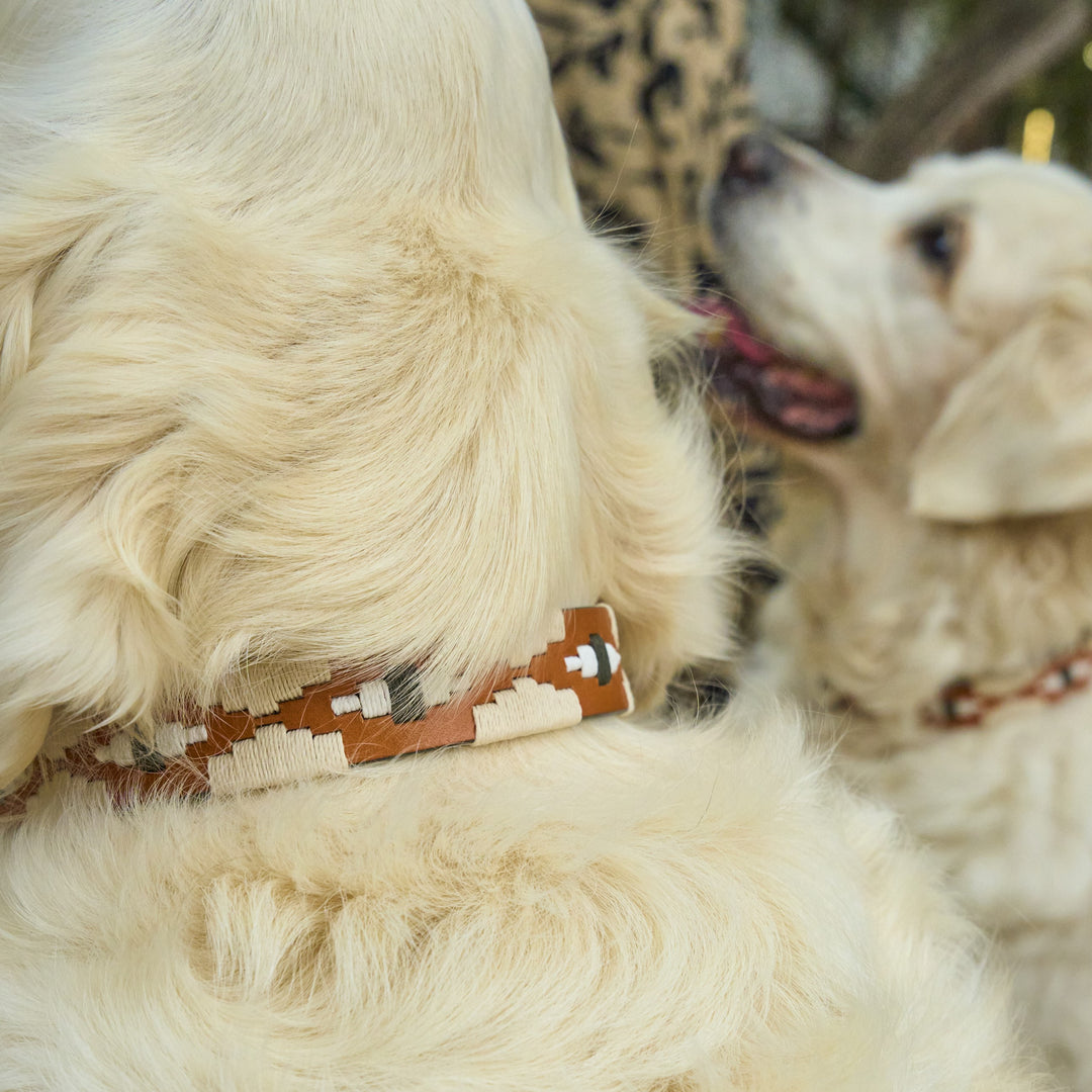 Zilker Belts x Gruene Hall Leather Dog Collar
