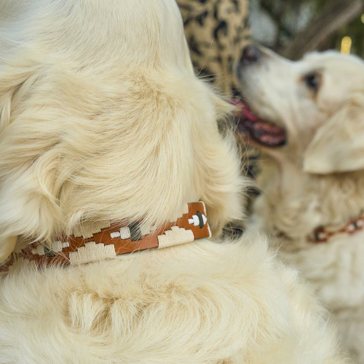 Zilker Belts x Gruene Hall Leather Dog Collar