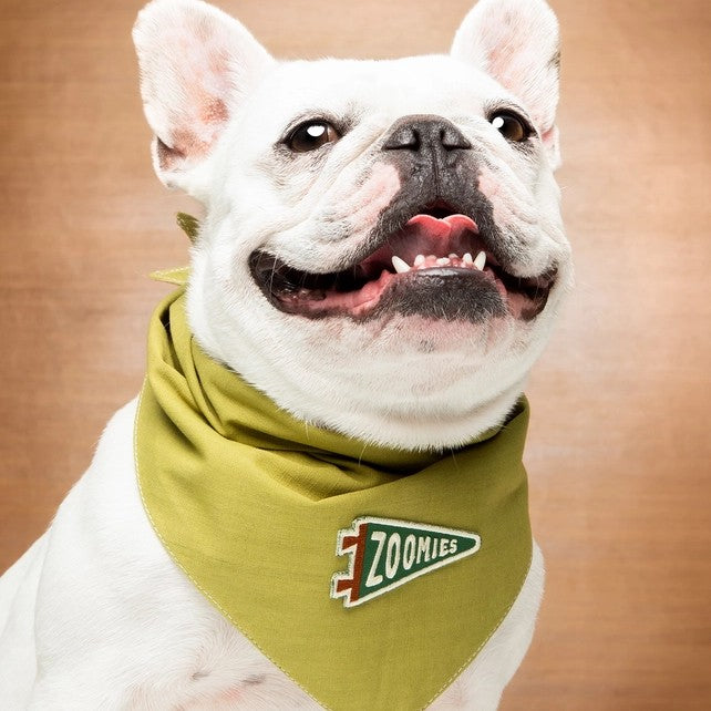 Zoomies Pet Patch