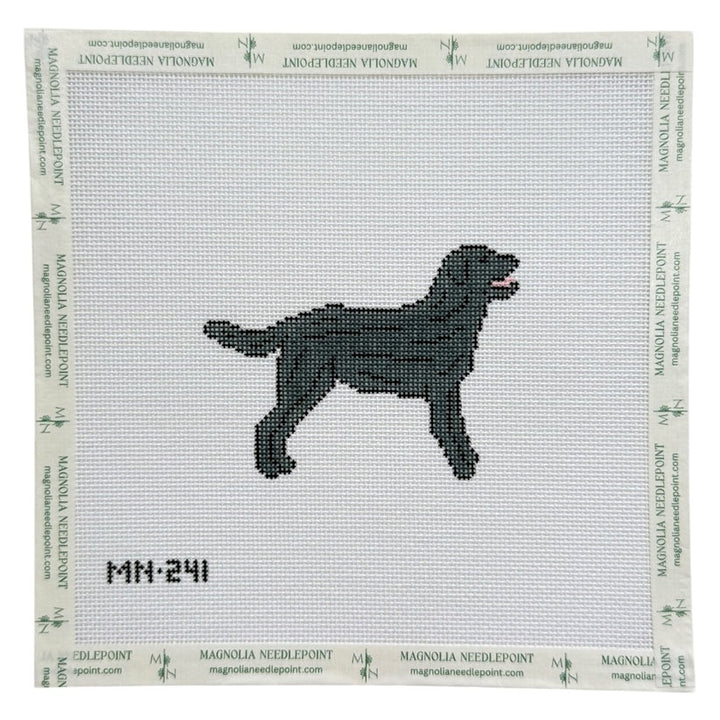 Needlepoint Canvas