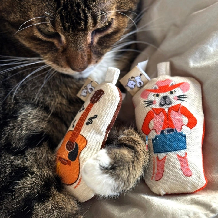 Cat Toy Set