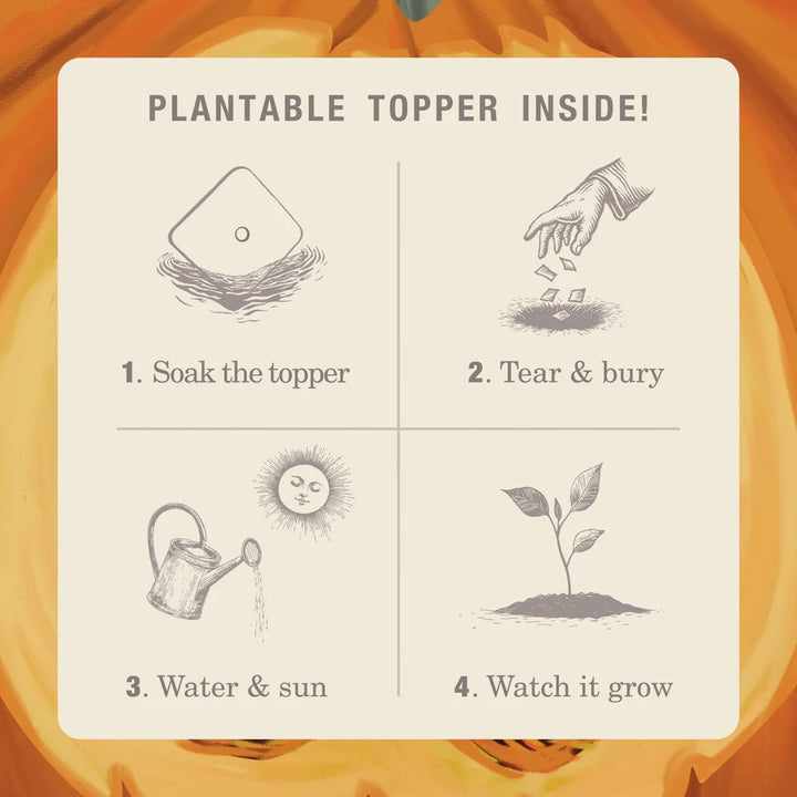 Plant the Box Tin Candle 10oz