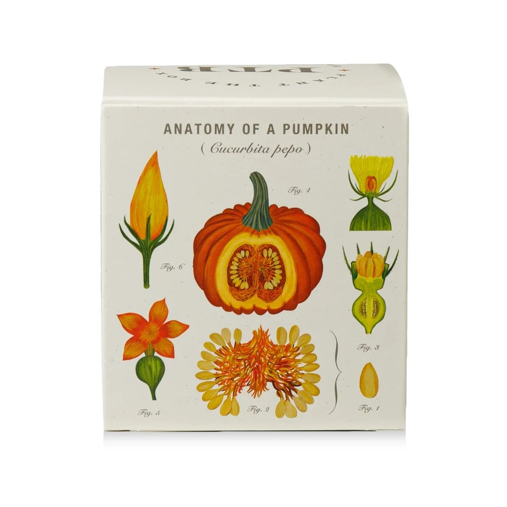 Plant the Box Candle 9oz