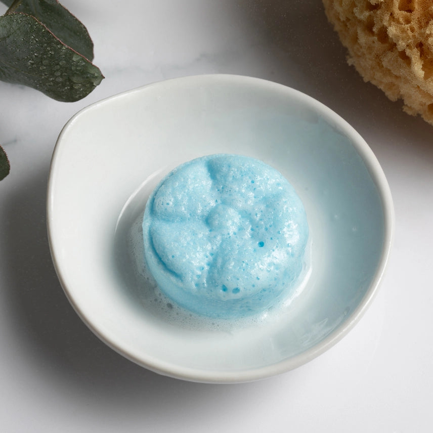Soothe Eucalyptus Mint Shower Steamers