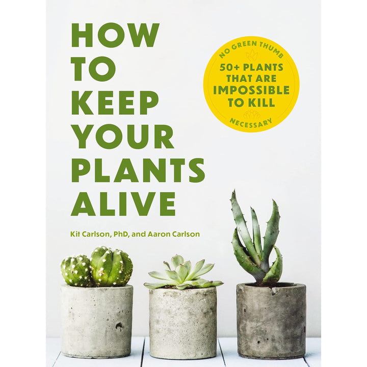 How to Keep Your Plants Alive: 50 Plants That Are Impossible to Kill